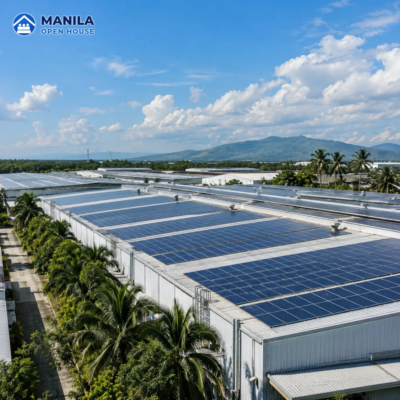 Rows of solar panels on a factory roof beside palm trees and blue sky