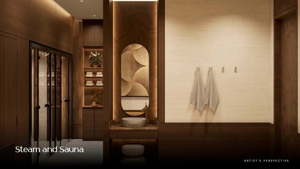 Sondris steam and sauna render